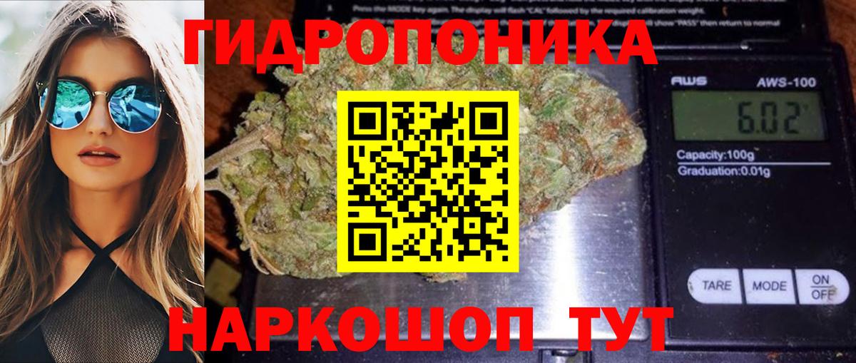 МАРИХУАНА OG Kush Рославль
